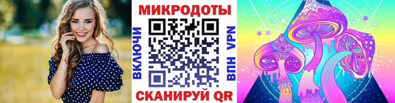 Купить закладки  Новодвинск  Псилоцибиновые грибы MAGIC MUSHROOMS 